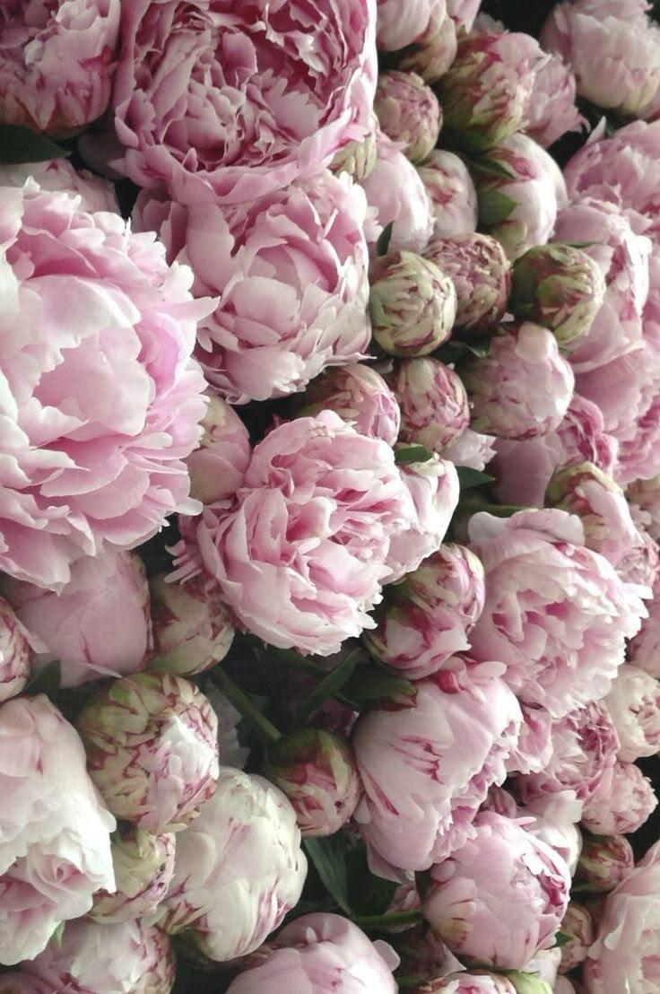 Professional floral arrangement in modern corporate setting